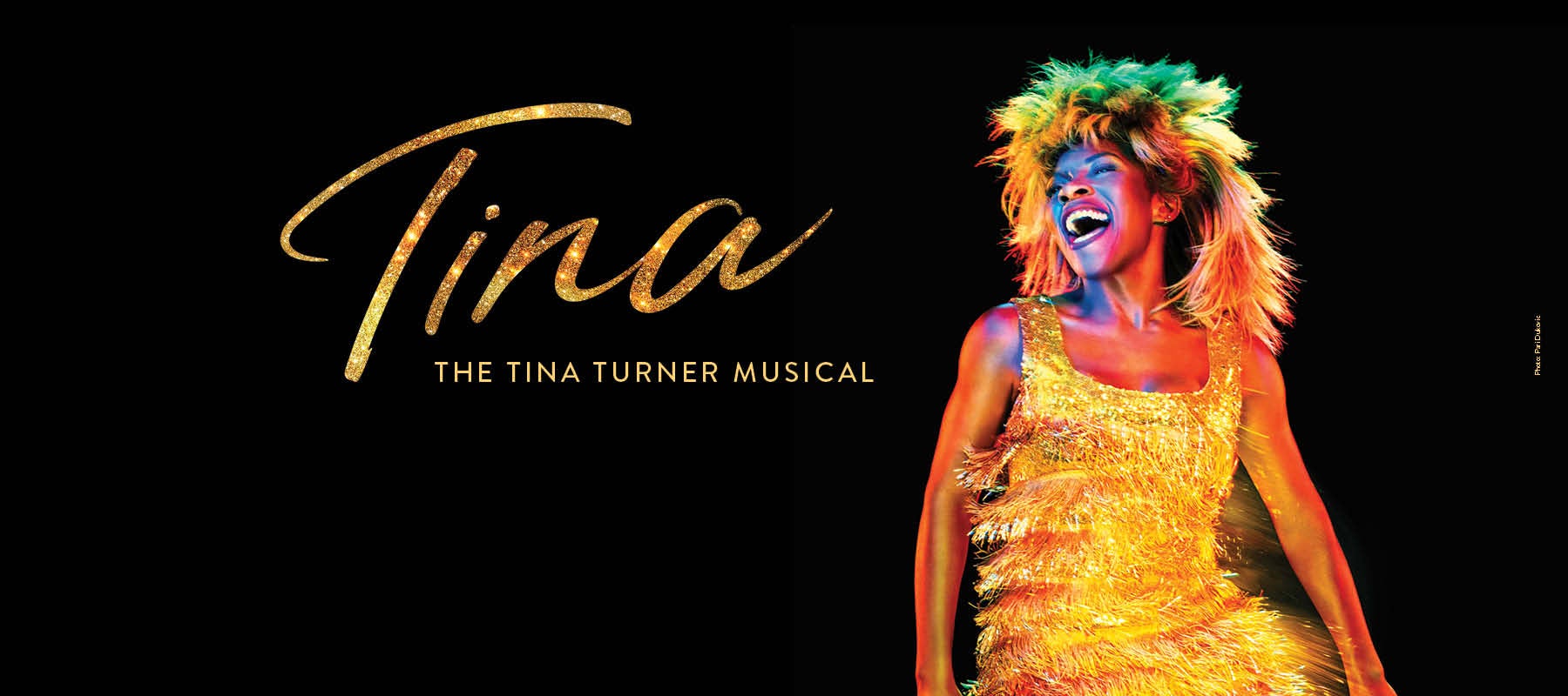 TINA - The Tina Turner Musical